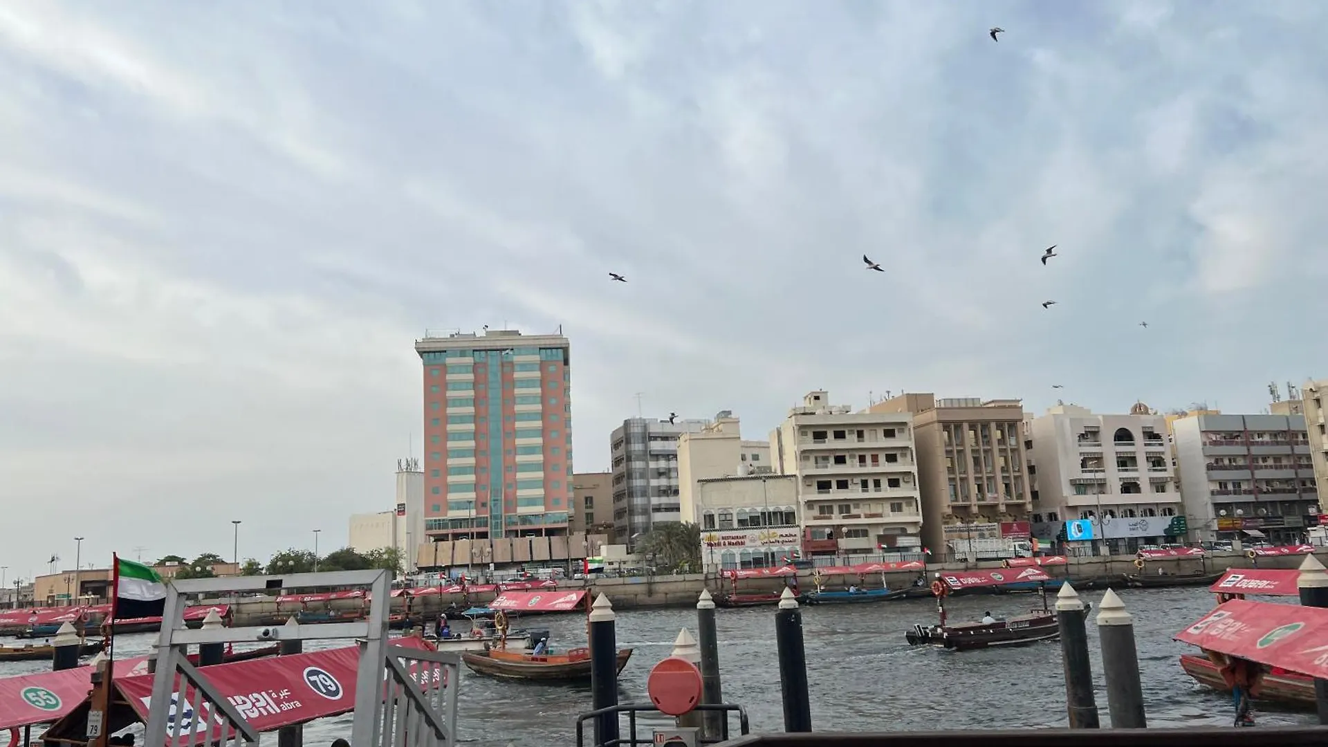 Apartment Robin House Dubai Mix Dormitory
